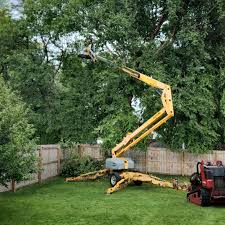 Trusted Wautoma, WI Tree Care  Experts